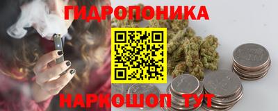 apvp Пушкино