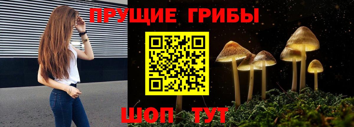 Приморско-Ахтарск  Галлюциногенные грибы Psilocybe  Вход с VPN 